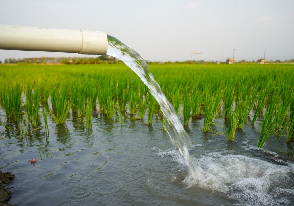 campo, sustentabiilidad