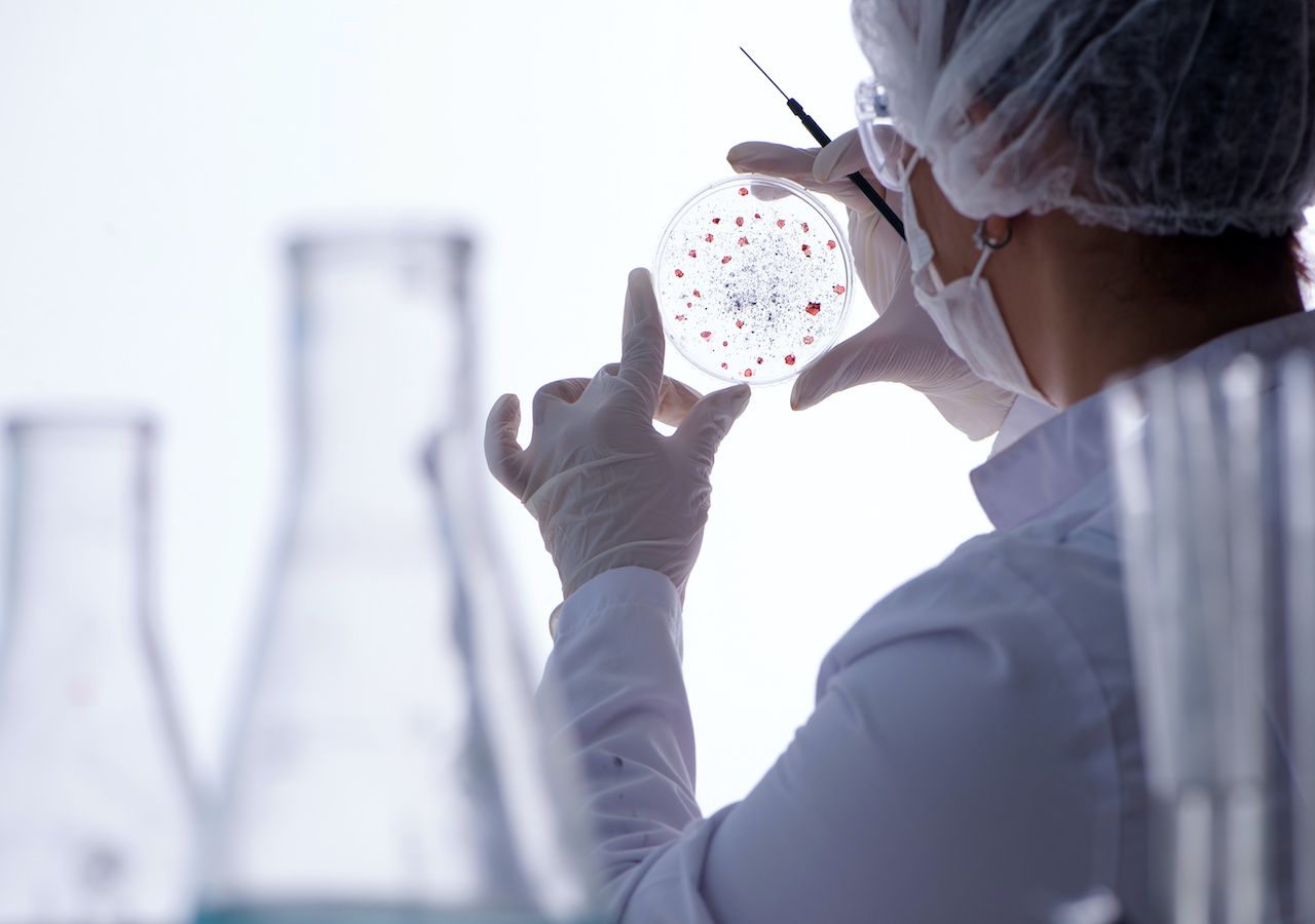 Un método de última generación en microbiología revela estructuras atómicas nunca antes vistas