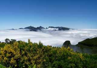 Microclima na Ilha da Madeira