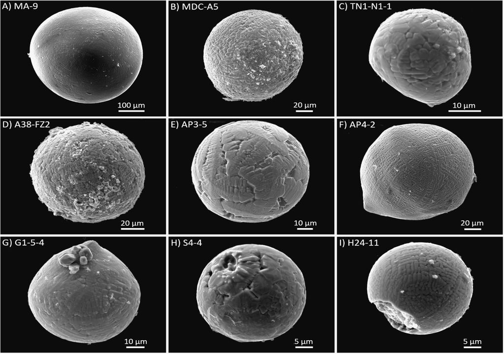 micrometeoritos analizados