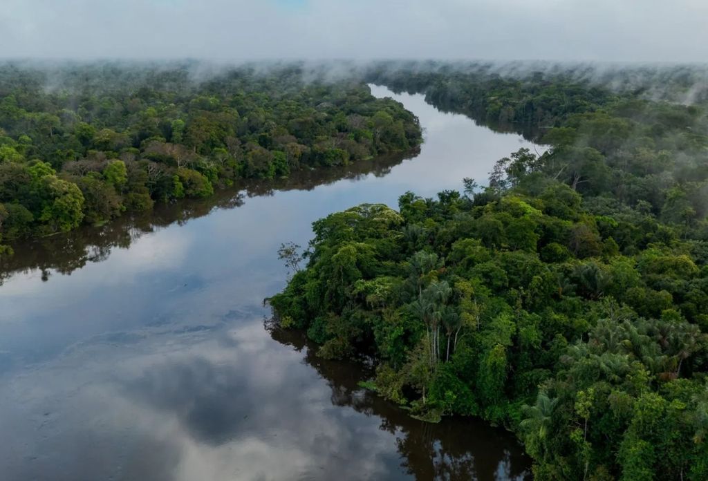 Dinâmica dos rios pode ajudar a levar resíduos de plástico para animais arborícolas durante as cheias. Crédito: Miguel Monteiro