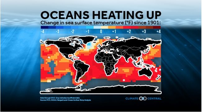 Mientras El Co2 Sube, La Salud Del Océano Baja Mientras El Co2 Sube, La Salud Del Océano Baja