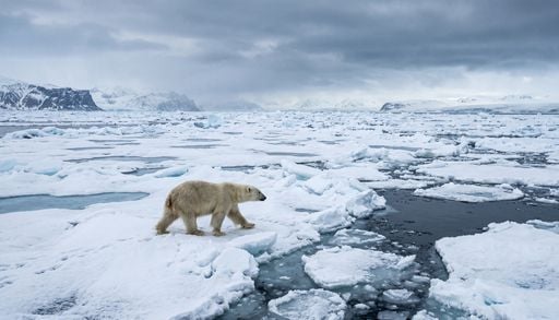 Mikroorganismen sind Feinschmecker &ndash; nicht alle zersetzen aufgetauten Kohlenstoff aus den Permafrostb&ouml;den