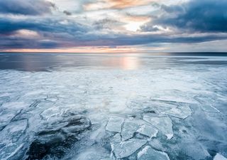 ¿Milagro? Caminaron sobre el mar en los canales de la Patagonia