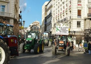 ¿Por qué agricultores y ganaderos cortan carreteras en España y cuál es la solución al problema? 