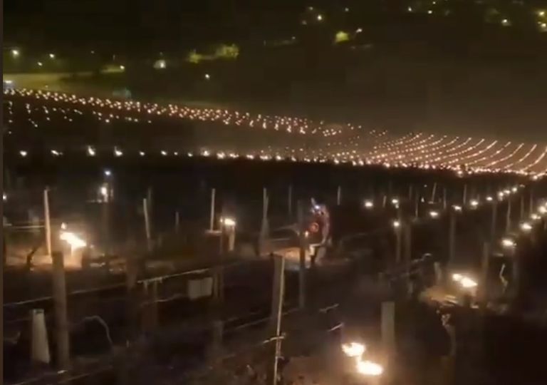 Miles de antorchas iluminan la Borgoña para salvar las viñas Miles de antorchas iluminan la Borgoña para salvar las viñas