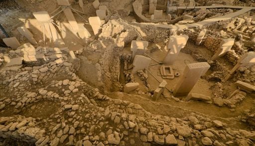 Miles de f&oacute;siles revelan c&oacute;mo ha cambiado la Pen&iacute;nsula Ib&eacute;rica en los &uacute;ltimos 25 millones de a&ntilde;os