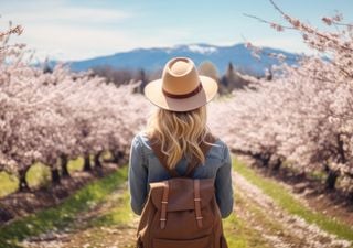 ¿Cuándo será la floración de los cerezos en el Valle del Jerte?, ¿coincidirá con la Semana Santa?
