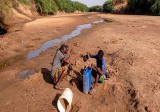 Milhões de pessoas em risco alimentar devido à seca na África