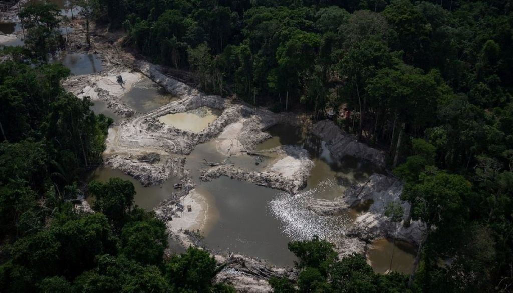 Em longo prazo, o mercúrio permanece ativo no solo, representando risco para a microbiota, os animais e até para humanos, porque pode entrar na cadeia alimentar. Crédito: Wikimedia Commons