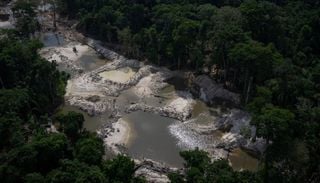 Minera&ccedil;&atilde;o ilegal deixou vest&iacute;gio de merc&uacute;rio 50 anos ap&oacute;s explora&ccedil;&atilde;o na Mata Atl&acirc;ntica
