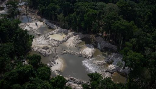 Minera&ccedil;&atilde;o ilegal deixou vest&iacute;gio de merc&uacute;rio 50 anos ap&oacute;s explora&ccedil;&atilde;o na Mata Atl&acirc;ntica