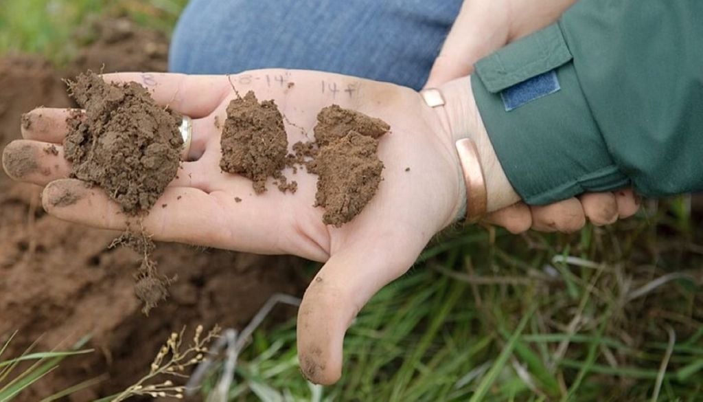 Cientista em campo examinando a saúde do solo. Crédito: Wikimedia Commons