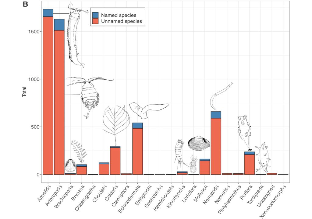 Espécies catalogadas no CCZ