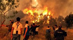 38 muertos, al menos, en los incendios en el norte de Argelia