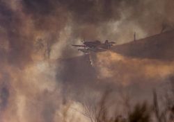 4.500 Hektar durch Feuer in New South Wales in Australien verbrannt!