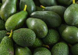 8 de cada 10 aguacates del Super Bowl provienen de México