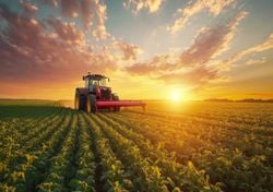 Acordo UE-Mercosul já foi assinado, mas só deverá entrar em vigor em outubro. Parlamento Europeu tem a última palavra