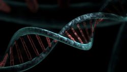 Nach dem Untergang Roms: Die DNA enthüllt die wahre Geschichte der frühmittelalterlichen Anfänge Europas
