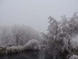 Aire ártico en camino a México: ambiente muy frío con viento, lluvias y hasta nevadas afectarán estos días