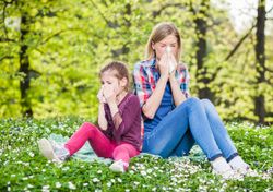 Alergias de primavera: claves para mejorar tu calidad de vida