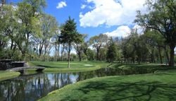Alerta ambiental en Hidalgo: Parque Cubitos en riesgo por la presión inmobiliaria