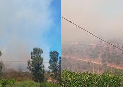 Activan alerta SAE por incendio forestal en Quilpué. Ya van 40 hectáreas consumidas.