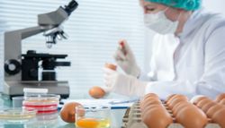 Alerta sanitaria por huevos contaminados provocan hospitalizaciones en 17 estados de Estados Unidos