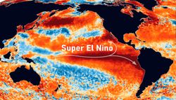 Análise de corais nos Galápagos alerta para a intensificação do El Niño, não só este ano, mas também no futuro