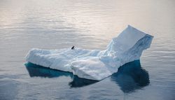 En Antarctique, des carottes glaciaires conservées dans une grotte conçue pour les scientifiques de demain