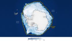 Antártida: el hielo marino tocó este 2026 su tercer máximo invernal más bajo desde que hay satélites