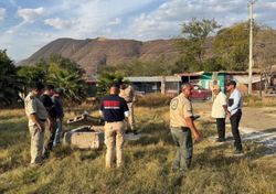 Aparecen chorros de agua caliente y vapor en los suelos de Zacoalco, México