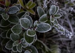 Ar polar se espalha pelo Brasil e deixa alerta de geadas em 726 cidades