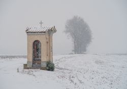 Arriverà la neve in pianura? Le mappe di Meteored rivelano una data che potrebbe riservare sorprese, ecco quando e dove