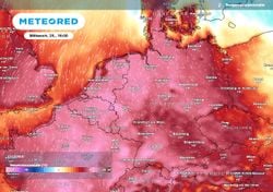 Atmosphärenforscher spricht von "Frühlingsexplosion": Bis 22 Grad – milde Luft hält bis März durch!
