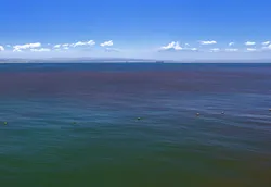 Autoridades sanitarias alertan por Marea Roja en costas del estado de Colima