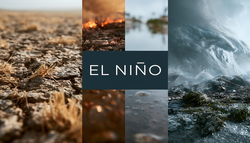 BBC schreibt auf Instagram: „UN warnt vor El Niño“ – doch was steckt hinter dieser beängstigenden Schlagzeile?