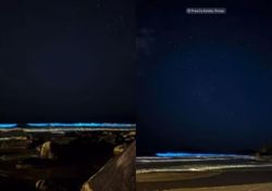 Bioluminiscencia en Florianópolis: joven captura momento mágico con olas iluminadas por microalgas en el sur de la isla