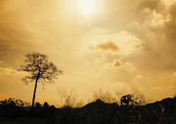 Bloqueio atmosférico muda o padrão de chuva e temperatura na próxima semana; confira