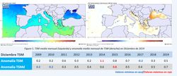 Boletín temperatura del mar Mediterráneo Número 5 Invierno 2020, CEAM