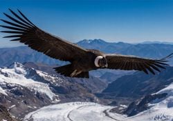 Bombas de agua en las montañas de los Andes: el riesgo latente tras el deshielo de glaciares en Latinoamérica