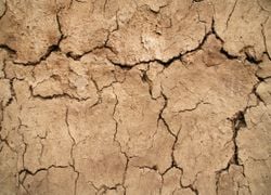 C'est confirmé par l'ONU, notre planète a accumulé une chaleur record en 2025. Quelles conséquences pour l'humanité ?