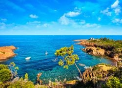 Canicule marine en Méditerranée !