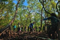Carbono azul: por qué proteger los manglares puede frenar la crisis climática