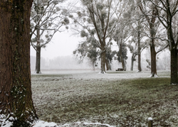 Ce dimanche: de la neige en plaine ? 