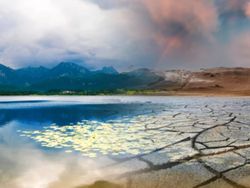 Chihuahua se seca: los efectos del cambio climático que ya transforman al estado