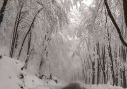Ciclogenesi fredda sul Tirreno, tanta neve in arrivo sull'Appennino