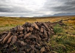 Científicos descubren cuánta agua es necesaria para volver a transformar tierras agrícolas árticas en sumideros