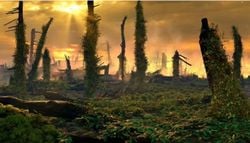 As mudanças climáticas causaram incêndios florestais em toda a Europa em tempos pré-históricos