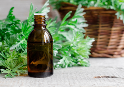 Con estos ingredientes caseros puedes preparar el insecticida ecológico más potente para tu huerto